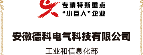 「小巨人 大分量」| JIUYOU.COM九游电气荣获“国家专精特新重点小巨人企业”称号！